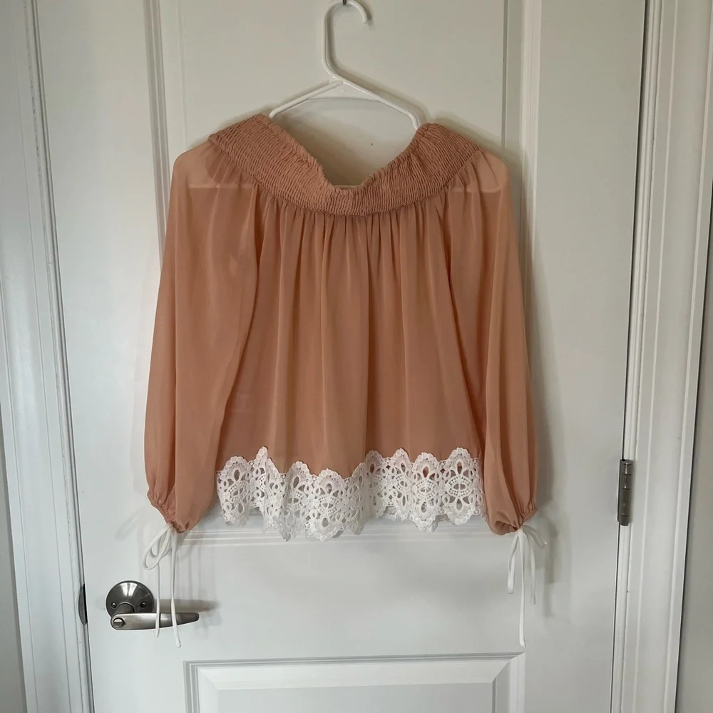 Anthropologie Sheer Coral Blouse - Picture 4 of 4